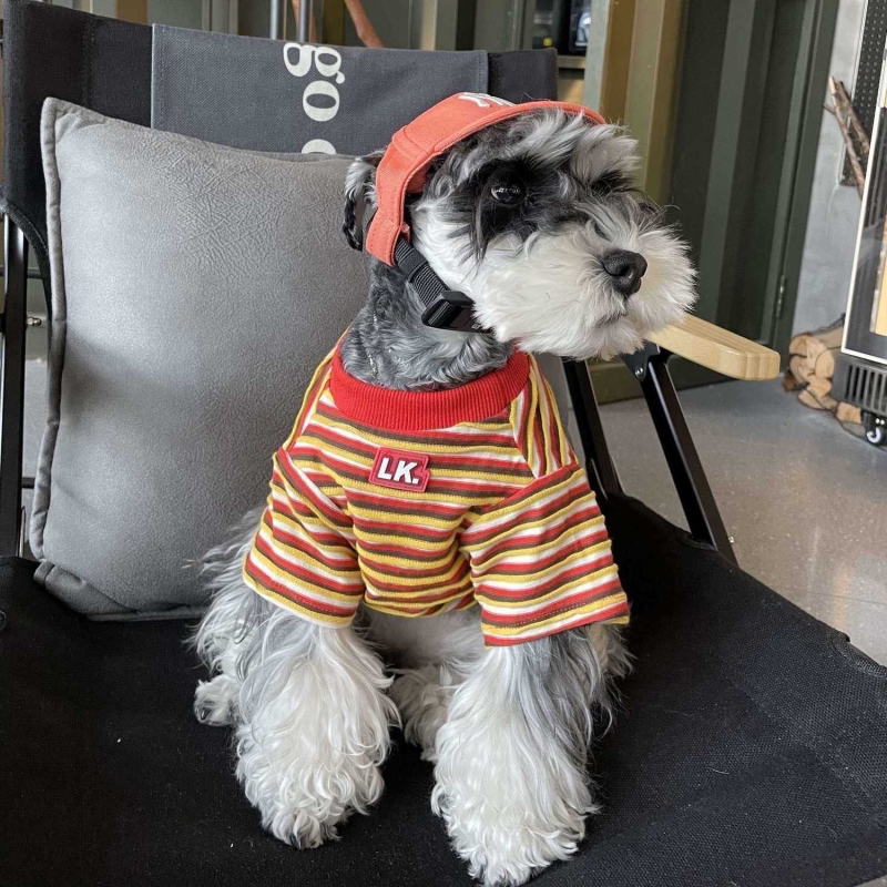 猫咪狗狗衣服新款秋装条纹T恤短袖泰迪雪纳瑞柴犬中小型犬宠物装