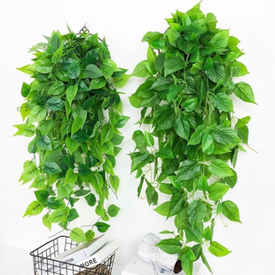仿真绿萝客厅挂墙绿植壁挂植物装饰垂吊假花藤条室内藤蔓吊兰吊篮