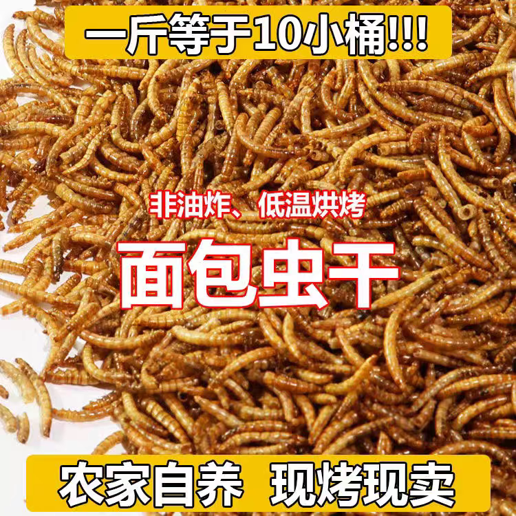 超实惠面包虫干批发卢丁鸡鸟食乌龟饲料刺猬蜥蜴八哥饲料仓鼠零食