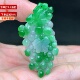 正品 缅甸A货翡翠阳绿精雕葡萄多子多福翡翠挂件吊坠特色收藏送礼