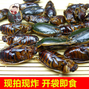 油炸虫子小金边龙虱开袋即食美味昆虫宴水老鳖射尿龟高蛋白美食