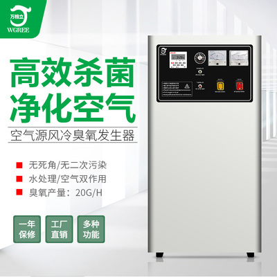 20g臭氧臭氧发生器万格立