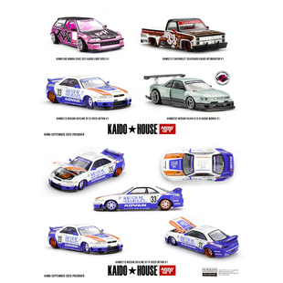 Kaido House + MINIGT 日产 Nissan Skyline GT-R (R33) BFTHR V1