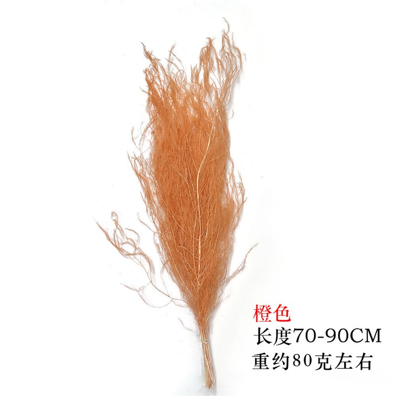 龙须草永生花梦幻羽毛草干花婚庆装饰软装花艺悬挂花材吊米文竹真