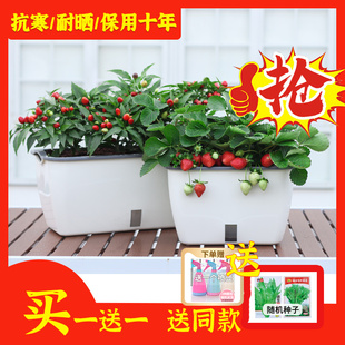 家庭阳台种菜盆种菜神器花盆自动吸水长方形塑料蔬菜懒人种植箱