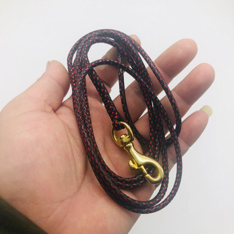 4.5mm柔软圆形尼龙专业比赛牵引绳金毛柯基犬法牛遛狗训犬p链套装