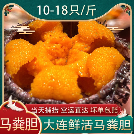 大连马粪黄金海胆鲜活500g刺身海胆肉日料海鲜水饺炒饭10-18只