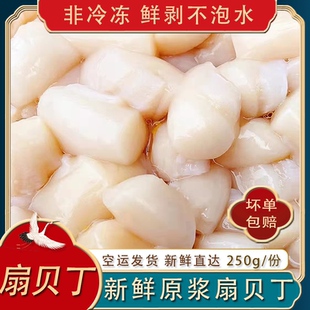 大连现剥原浆新鲜扇贝柱贝丁非冷冻帆立贝柱250g拍3份包邮