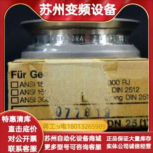 DN25 GESTRA止回阀RK16A