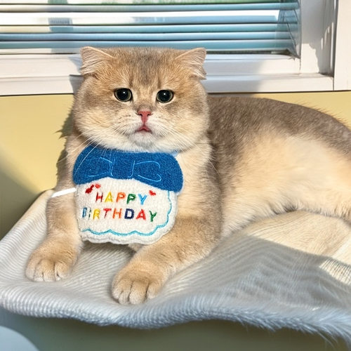 猫咪帽子头饰可爱兔子头套泰迪柯基法斗狗狗围兜生日装扮拍照道具