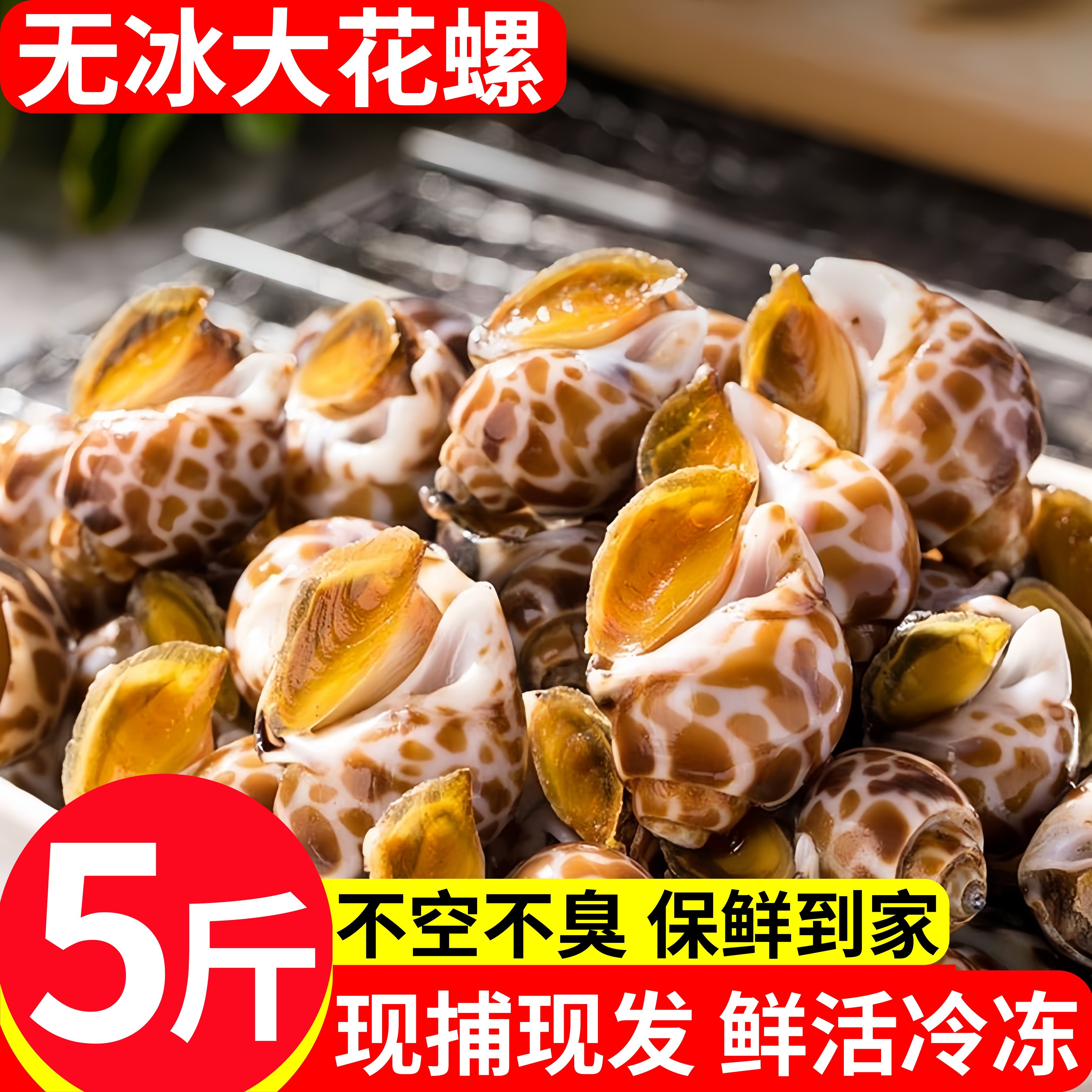 鲜活花螺5斤鲜冻特大花螺东风螺