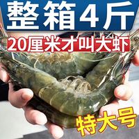 青岛大虾鲜活超大冷冻海捕大虾对虾鲜鲜冻虾特大大虾海鲜非基围虾