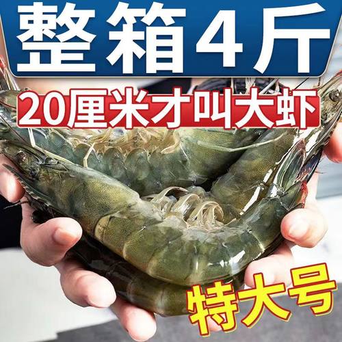 寰球邮鲜青岛海捕特大速冻对虾