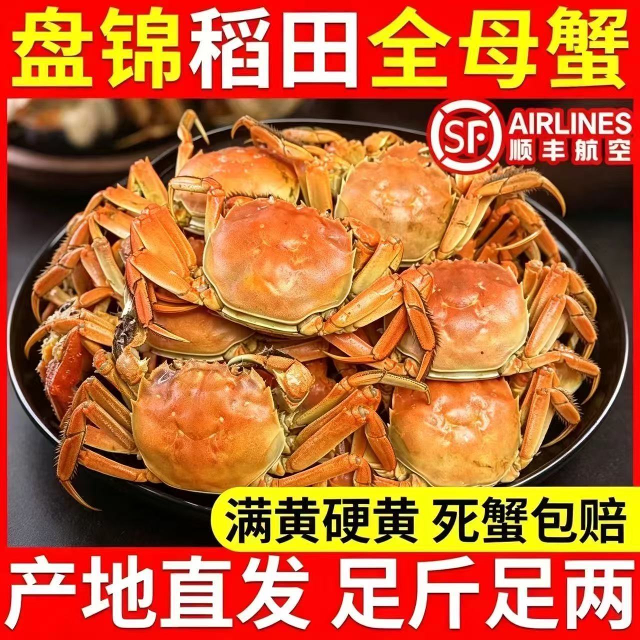盘锦稻田散养现抓现发活河蟹