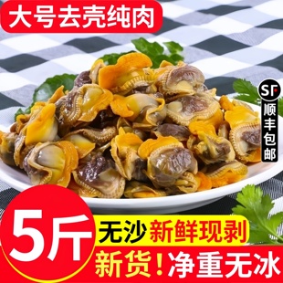 毛蛤蜊肉新鲜冷冻毛蚬子肉血蛤肉干净无沙新鲜赤贝肉干海鲜批发