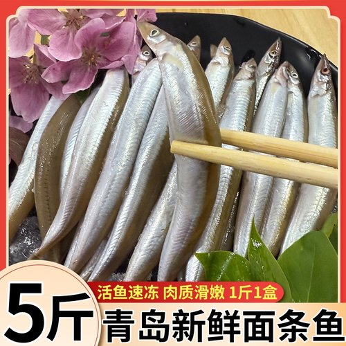 新鲜面条鱼小银鱼小青鱼玉筋鱼泥鳅鱼鲜活冷冻海鱼沙丁鱼海鲜水产