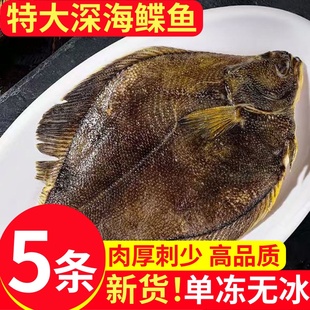 超大号鲽鱼新鲜黄金鲽鱼整条比目鱼活冷冻整条深海鸦片鱼鳐鱼顺丰