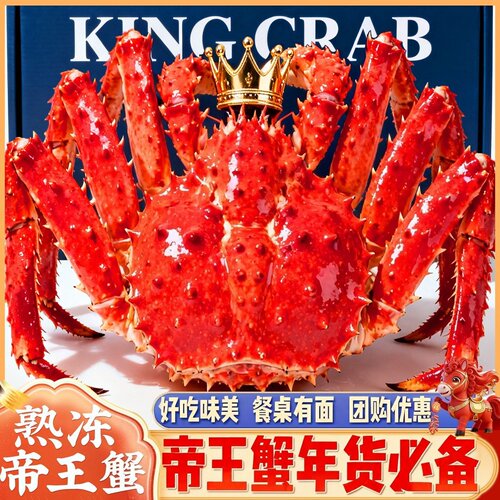 智利进口鲜活特大帝王蟹现货现发
