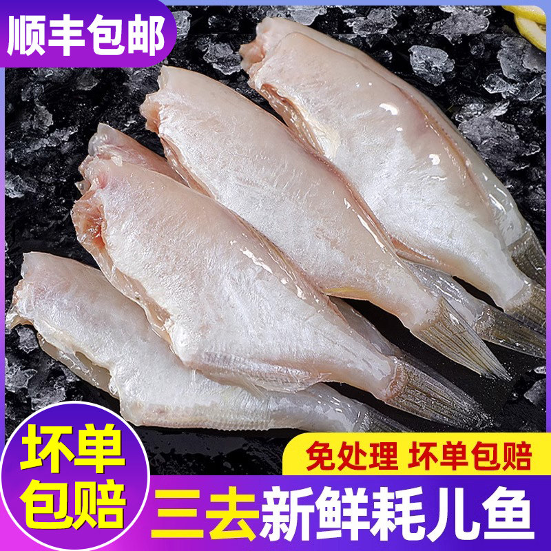 新鲜马面鱼鲜活冷冻耗儿鱼剥皮鱼净重无冰海鱼火锅商用整箱马面鱼