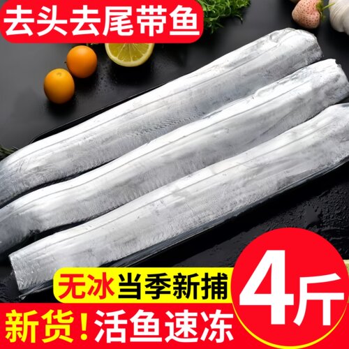 东海特大去头去尾带鱼中段4斤
