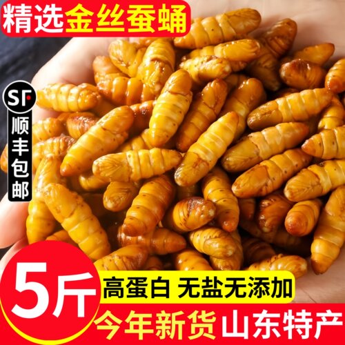 山东特产金丝蛹鲜活冷冻顺丰速发