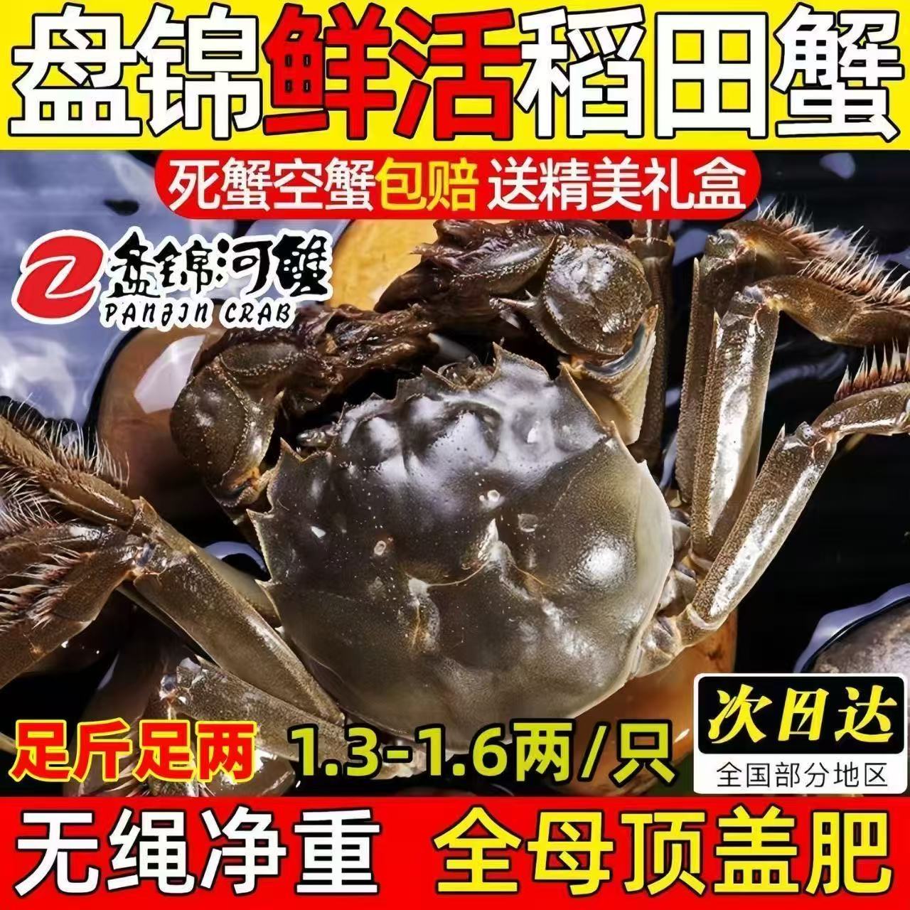 正宗盘锦稻田散养现抓活河蟹