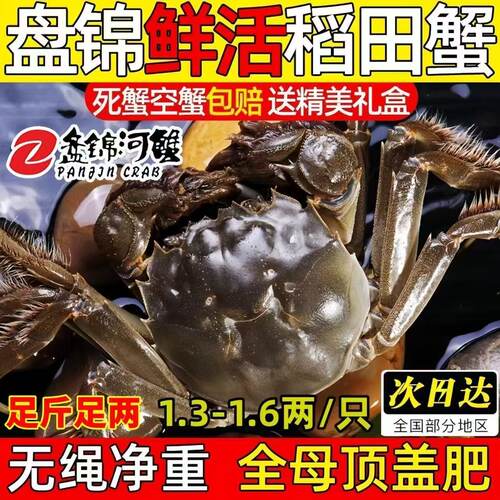 正宗盘锦稻田散养现抓活河蟹
