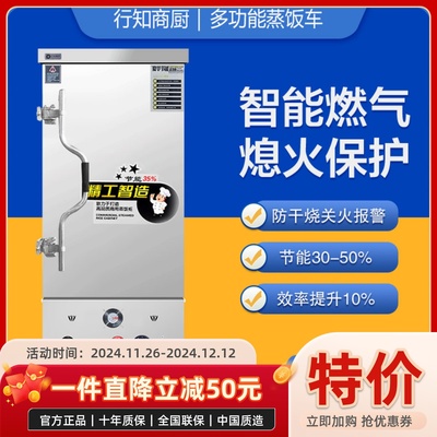 节能液化煤气蒸饭柜车器商用全自动蒸箱食堂天然燃气蒸馒头米饭机