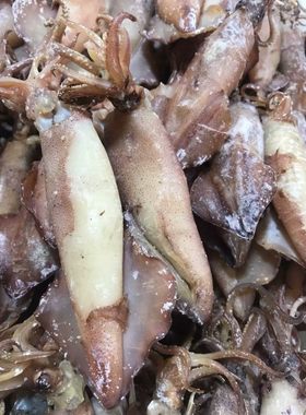 海鲜水产干货仔乌海兔干野生籽乌干（皮乌)大个味鲜 250克36元