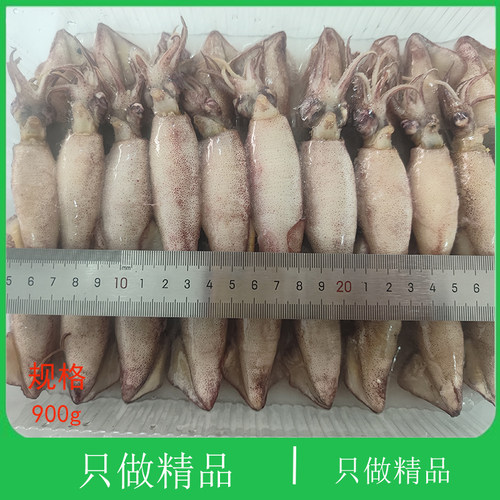 大连海鲜满籽，籽乌顺丰特快