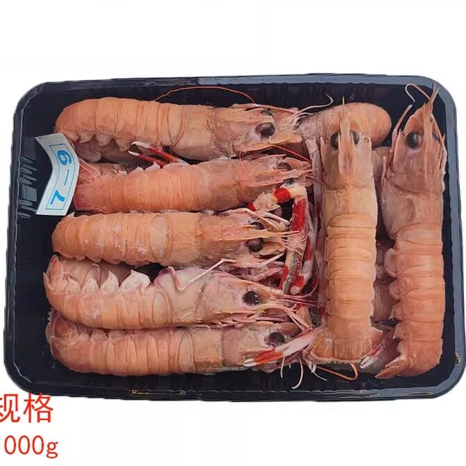 大连海鲜深海大虾刺身即食虾鲜冻日料虾斯干比小龙虾海鳌虾