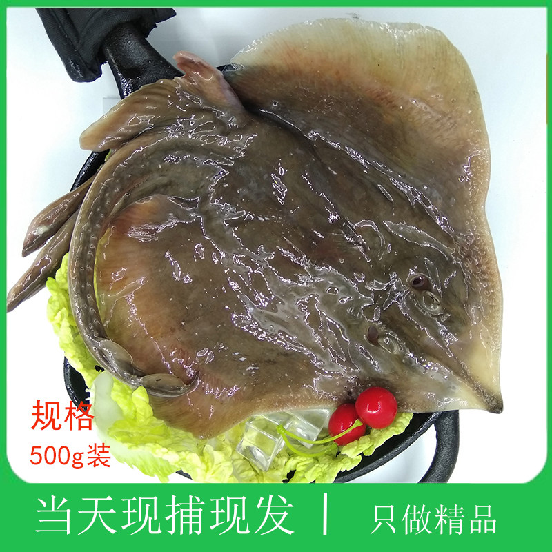 大连活鱼深海鱼铧子鱼孔鳐鱼现捕新鲜蝶鱼软骨鱼无刺鱼鲜活老板鱼