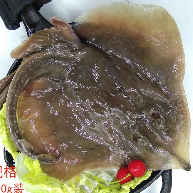 大连海鲜老板鱼顺丰时效