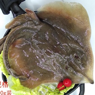 大连活鱼深海鱼铧子鱼孔鳐鱼现捕新鲜蝶鱼软骨鱼无刺鱼鲜活老板鱼