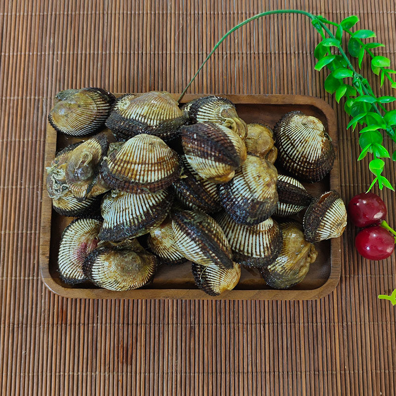 大连海鲜血哈现挖鲜活毛蚶子新鲜毛蛤蜊贝类小赤贝无沙花甲毛蚬子