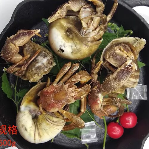 大连海鲜特产大号带壳虾怪顺丰