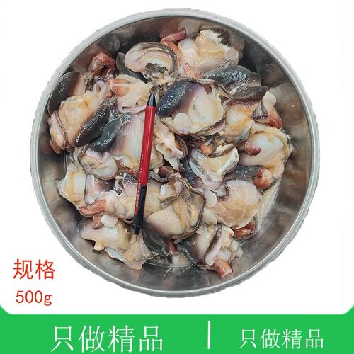 大连海鲜现扣马贝肉顺丰特快