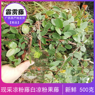广西原生薜荔藤木莲藤木馒头藤薜荔枝霹雳藤中药材500g包邮