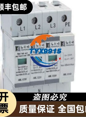 和利时隔离器 AI: 模拟量输入 AMG1031