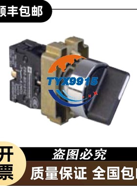 XB2BD33C ZB2BD3C ZB2BZ101C H2C 24V H2A-H
