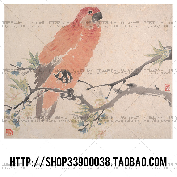 中国古典画册 中国风花卉图册 古代高清图片绘画参考设计素材