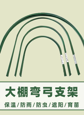 大棚种菜防冻棚菜园保温棚架支架