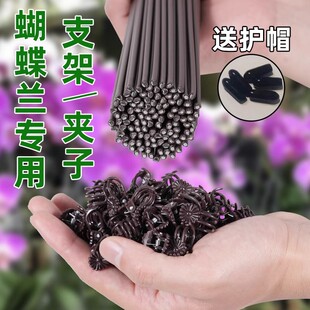 蝴蝶兰支架兰花植物支撑杆蝴蝶兰夹子园艺专用花架花卉防倒伏固定