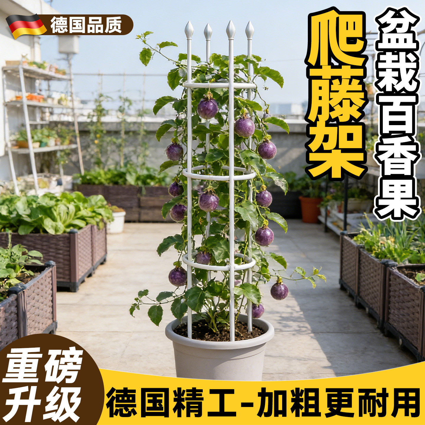 百香果盆栽爬藤架阳台楼顶种菜架子葡萄花盆支撑架黄瓜西红柿支架图片