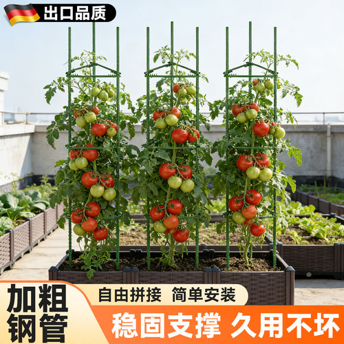 西红柿黄瓜爬藤支撑杆阳台菜园