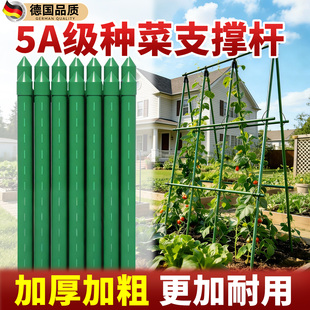 种菜支撑杆黄瓜豆角蔬菜爬藤架种菜番茄西瓜支撑杆植物搭棚子支架