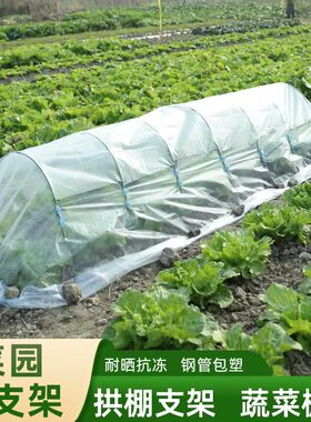 大棚包塑钢管支架可搭配遮阳防虫