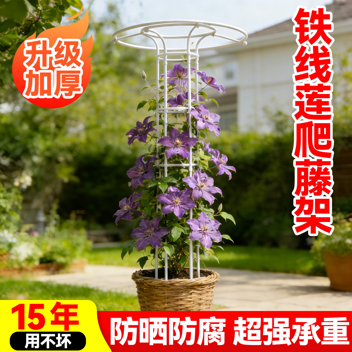 铁线莲爬藤架园艺伞形花架月季攀藤架蔷薇花卉支撑杆植物铁艺花架