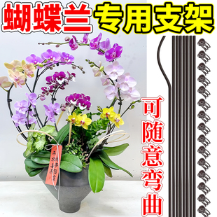 绿植植物蝴蝶兰花夹子专用爬藤花卉夹造型支架矫正夹藤蔓固定夹花