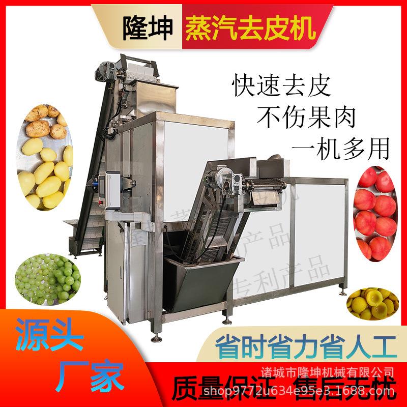大型土豆蒸汽去皮机 黄桃罐头加工去皮设备 全自动葡萄物理爆皮机